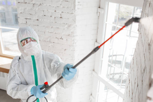 Tutwiler, MS Mold Removal Company